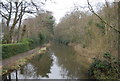 Basingstoke Canal