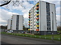 3 blocks of flats on Meadow Avenue