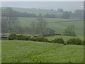 Field views north of Sheen