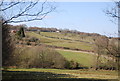 Slopes of the High Weald