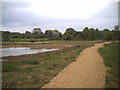 SZ0399 : BytheWay Field, Wimborne Minster, Dorset by JULES