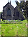 Bluebells in Holy Rood churchyard