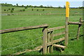 Footpath across the paddocks