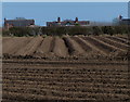 Ploughed field near Swepstone