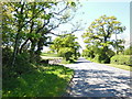 Ashburton Road at Hele Park