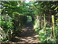 Footpath beyond Limpsfield churchyard