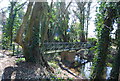 Footbridge, River darent