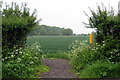 Footpath to Meppershall