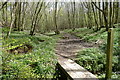 The axon Shore Way crossing a small stream in Dyne