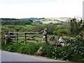 Field gate opposite lane to Easdon Farm