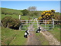 Gate and bridleway