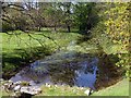 A pond at New Abbey