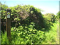 Waymarking post and public footpath at Wheal Vor