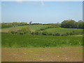 SW6231 : Fields at Lower Pengwedna by Rod Allday
