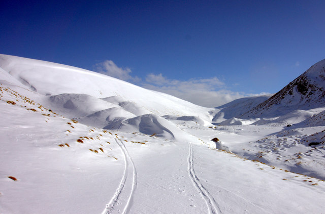 Out and back ski tracks through the upper Talla Glen.