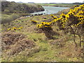 Minor inlet on Loch Caol