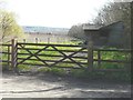 Paddock south of Bridge Cottages