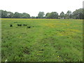 Approaching Lyne House Farm