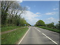 The A390 towards St Ann