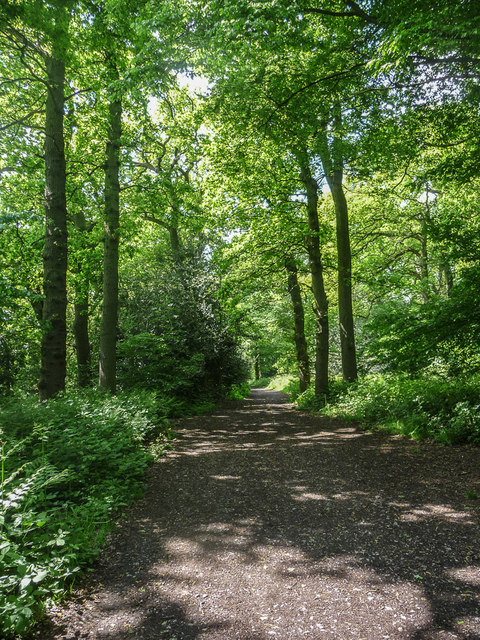 Footpath Through Rough Lot, Trent Park,... © Christine Matthews cc-by ...