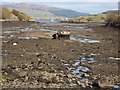 Loch Caol at low tide