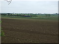 Farmland, Cherry Willingham