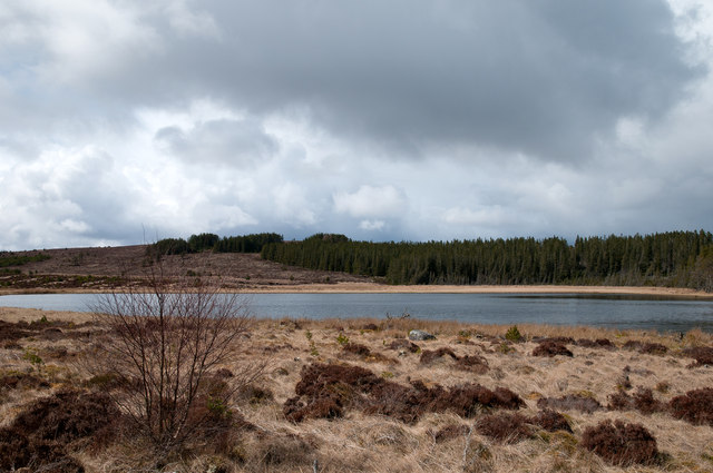 Morangie Forest, Highland - area information, map, walks and more