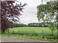 Field east of Glebe School site