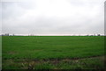 Farmland near Guston Court