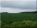 Farmland, Thimbleby