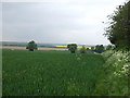 Farmland, High Toynton