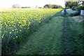 Path along the edge of Blisworth