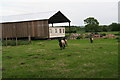 Holding with sheep on Moortown Road