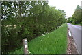 Protected Roadside Verge on Moortown Road