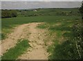 Arable field, Shore Head