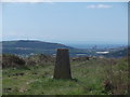 Trig Point at Mynydd Gelliwastad