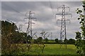 East Devon : Grassy Field & Pylons