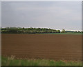 Ploughed field