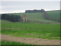 Pasture lands at Corsbie