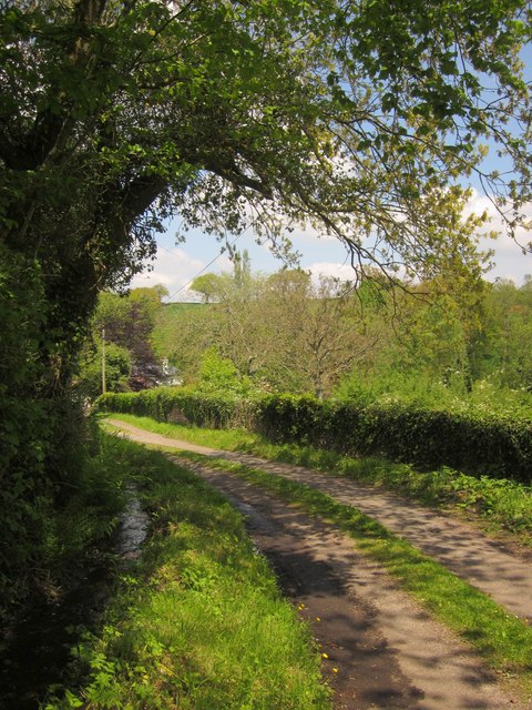 Mill Lane © Derek Harper :: Geograph Britain and Ireland