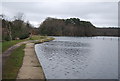 Basingstoke Canal, Mytchett Lake