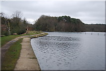 SU8954 : Basingstoke Canal, Mytchett Lake by N Chadwick