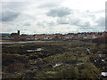 NT6879 : East Lothian Townscape : The East Shore, Dunbar,  Viewed From Meikle Spiker by Richard West
