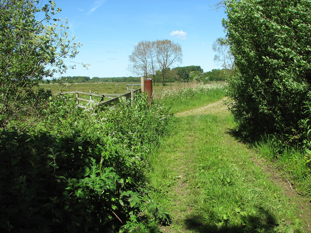 Path along the edge of the marshes at Aldeby