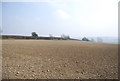 TR0652 : Chalky field near Hurst Farm by N Chadwick