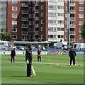 The County Ground, Hove: pre-match practice