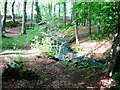 Stream in park, Eaglesham