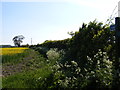 Footpath off Wangford Road