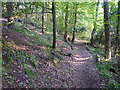 Mountfield and Coneygar Hill Millennium Green - path through the wood