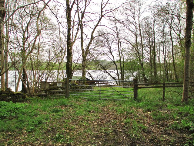A gate and a boat house